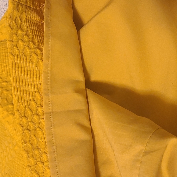 Banana Republic Mustard color skirt - Picture 6 of 8